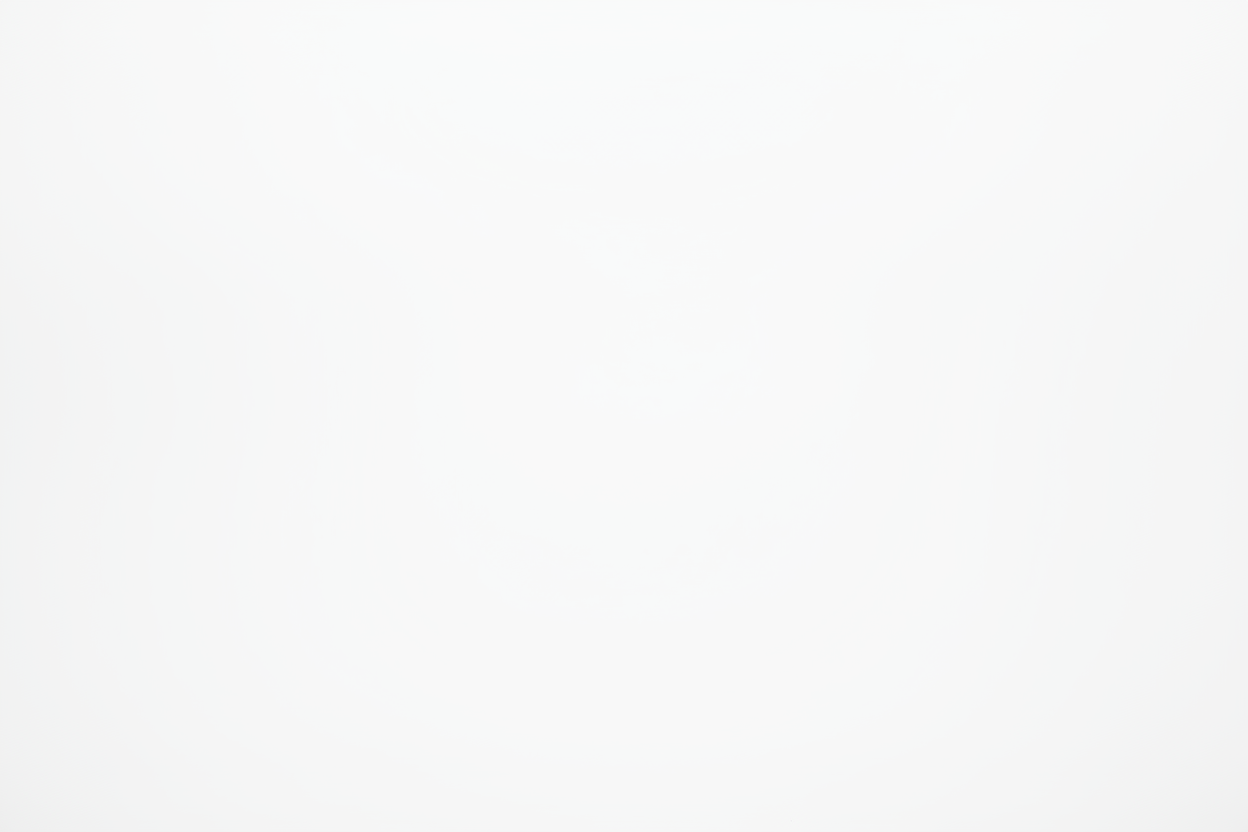 plain white background